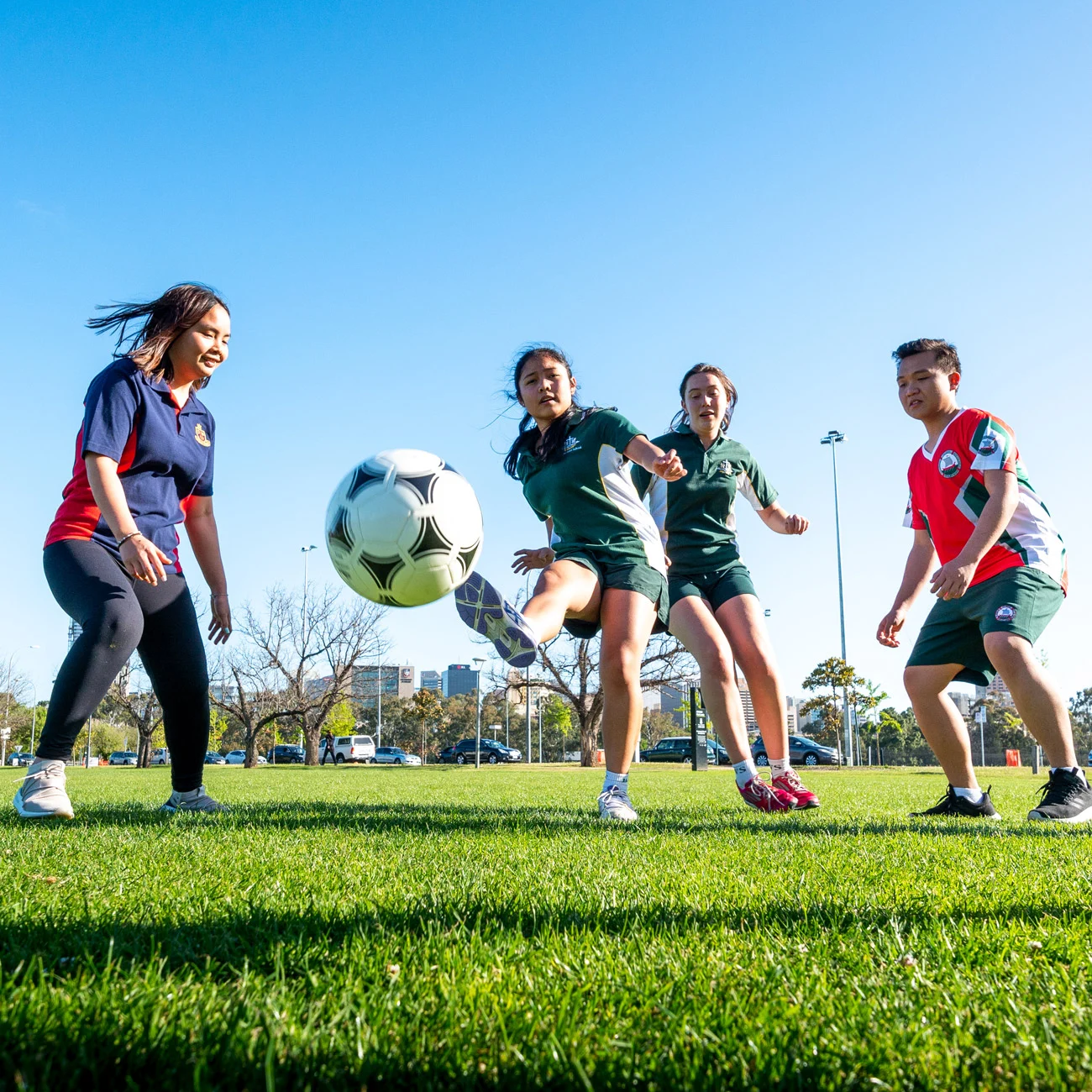 這一舉動不 這一舉動不